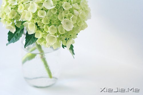 愿在我最美的时光，遇见最美好的你 (6)