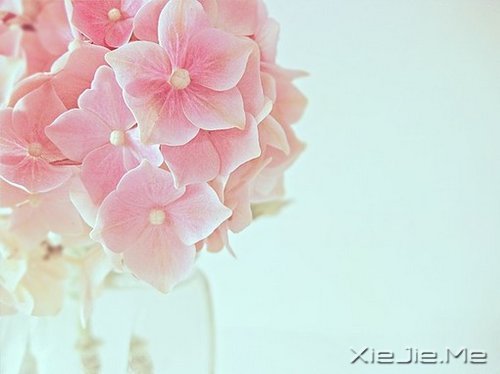 早安心语：找一个理由，去否认忧伤 (6)