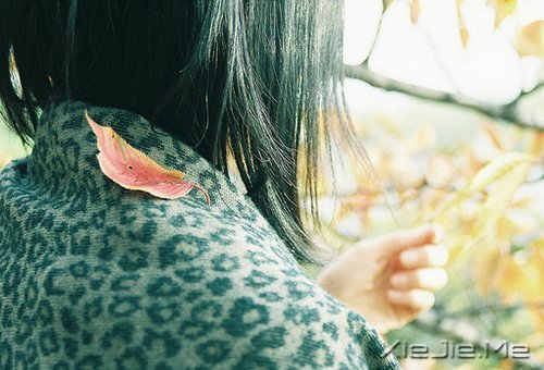 晚安心语：做自己生命的主角，而不是别人生命中的看客 (8)