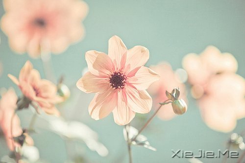 簲ʰ飬· (5)