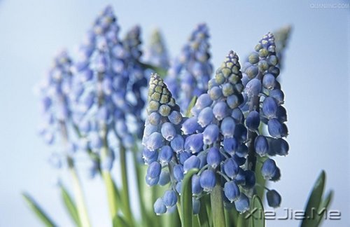 簲ʰ飬· (6)