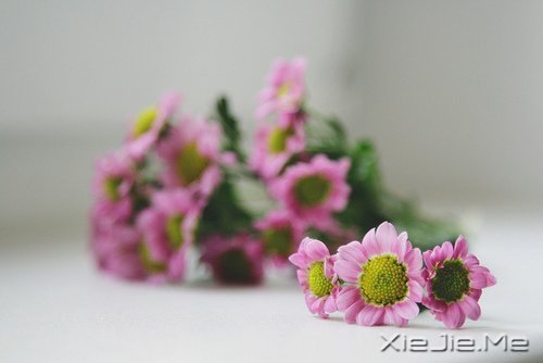 早安心语：你想要的，岁月都会给你 (10)