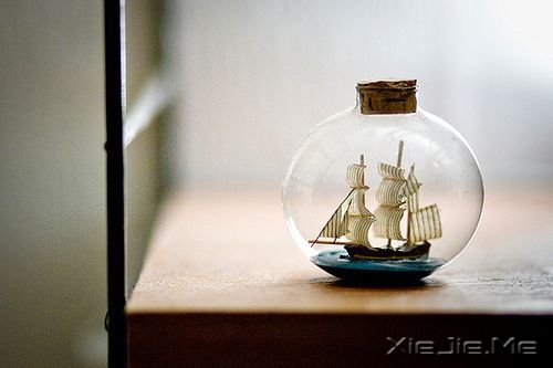 早安心语：生活就要像疯子一样的过，才能忘记生命给我们的颠簸 (9)