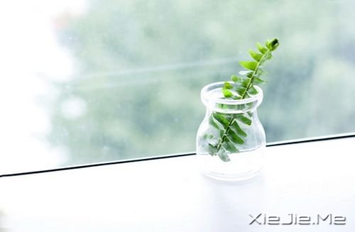 簲ûܸԼ (10)