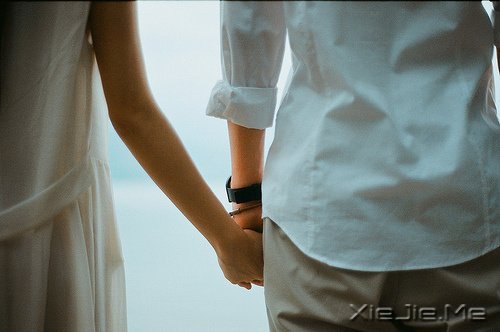 文字：假如人生不曾相遇 (9)